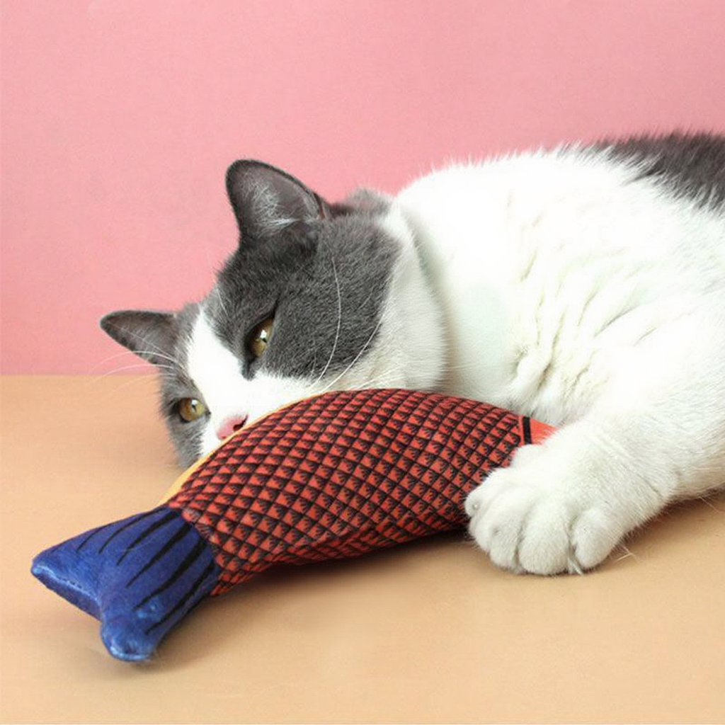 Catvera Plush Catnip Fish Toy - Image 16|||PROMPT|||Cleaned image. Original analysis: Found 1 white care/washing instruction tag attached to the product with brand labeling
