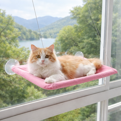 Catvera Premium Elevated Cat Hammock