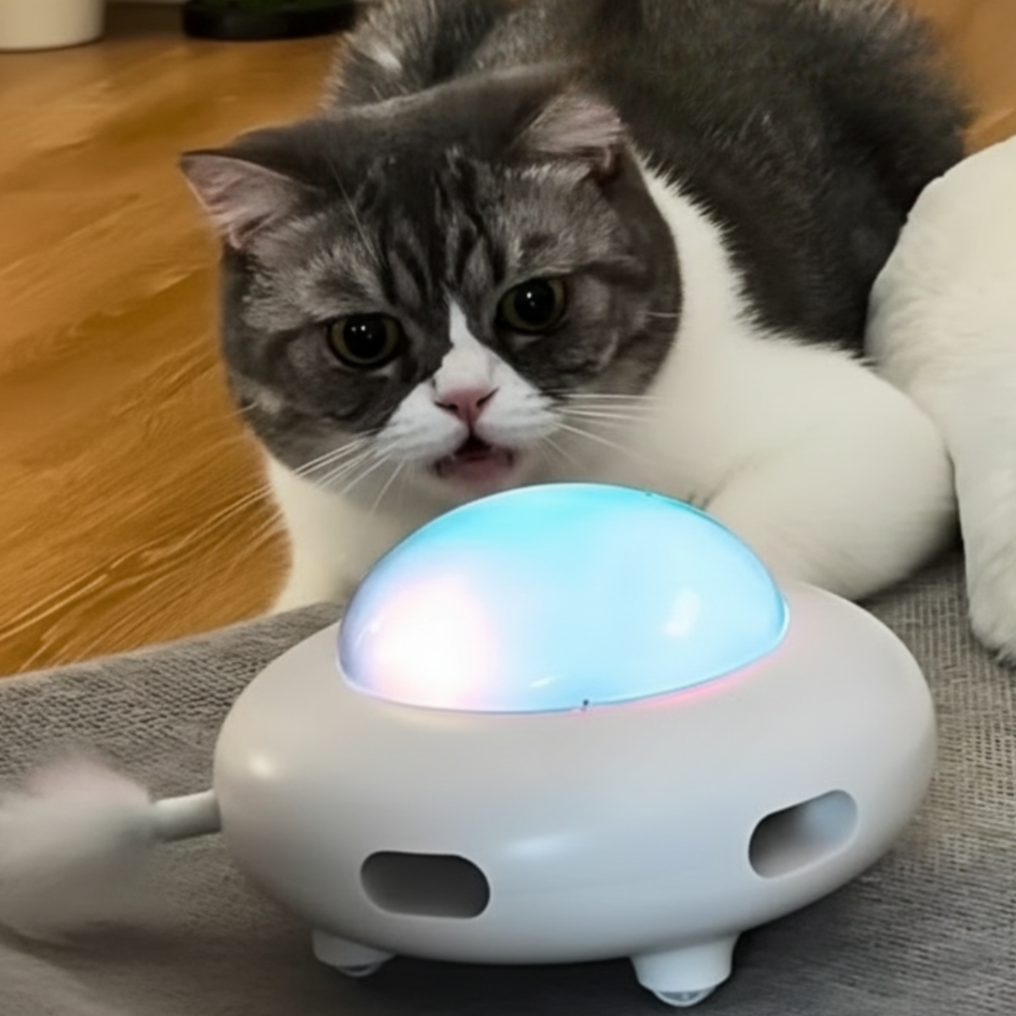 Catvera Paw Activated Feather Toy