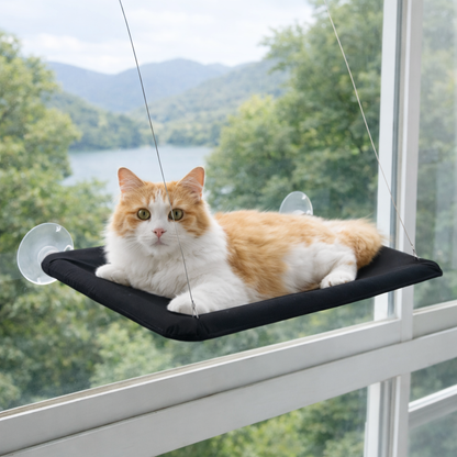 Catvera Premium Elevated Cat Hammock