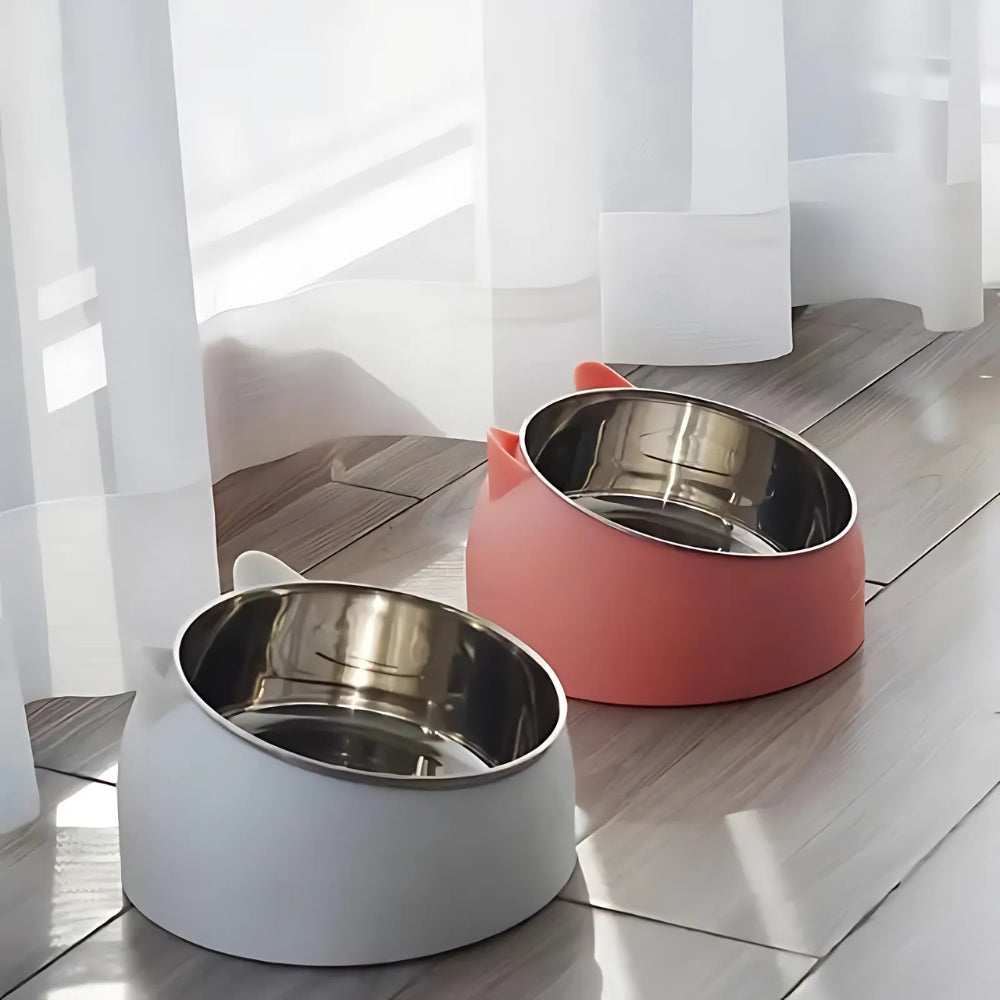 Catvera Tilted Stainless Steel Bowl