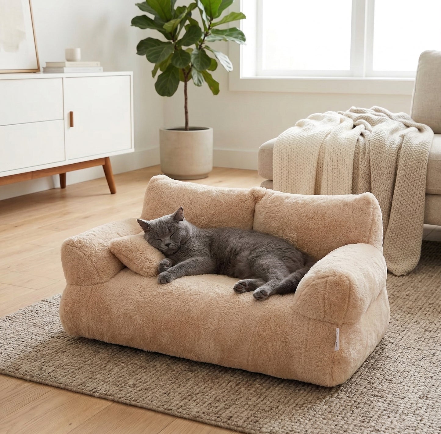 Catvera Plush Sofa Bed