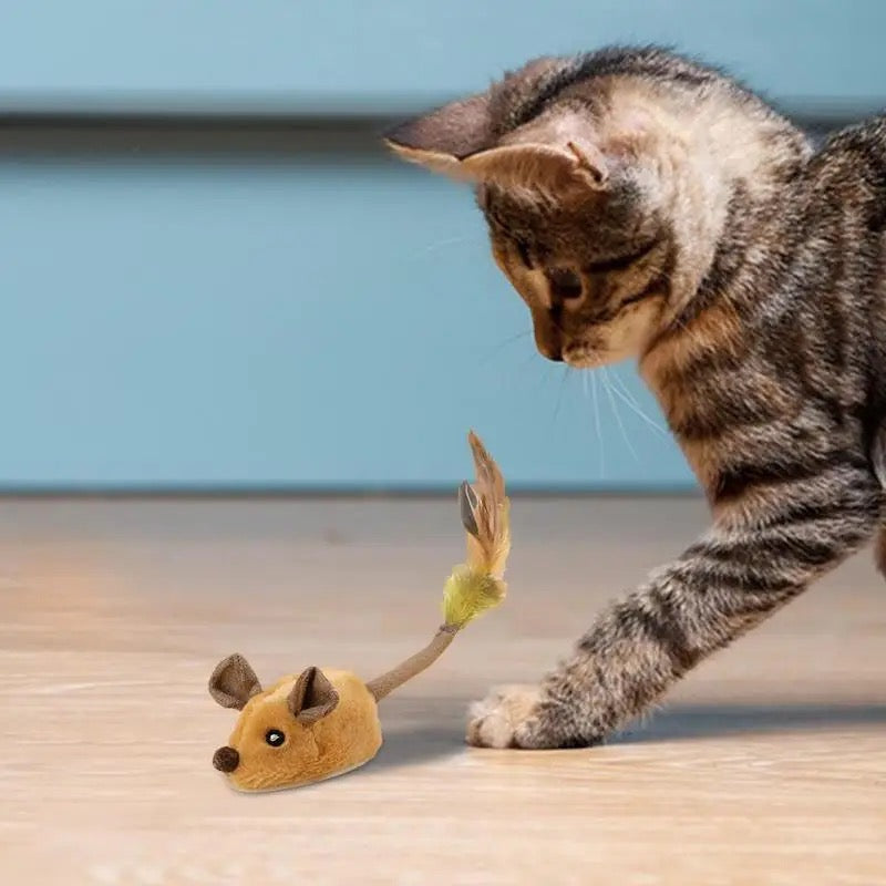 Catvera Mouse Motion Interactive Cat Toy