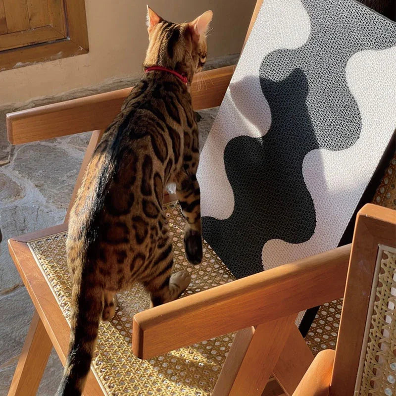 Catvera Adjustable Height Scratching Post - Image 6|||PROMPT|||Original clean product image