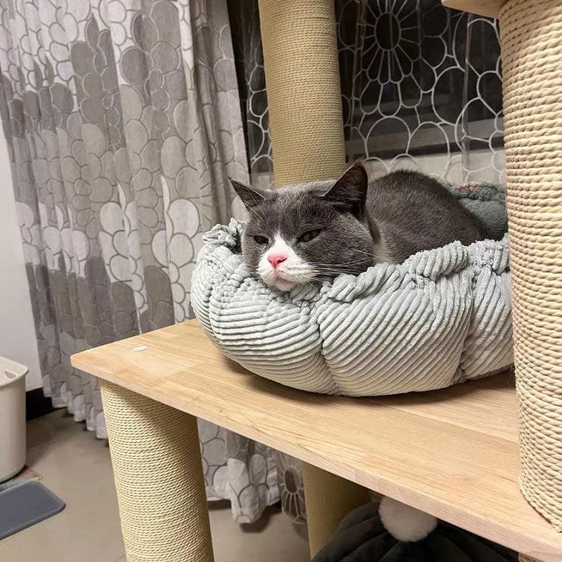 Catvera Adjustable Petal Cat Bed - Image 10|||PROMPT|||Original clean product image