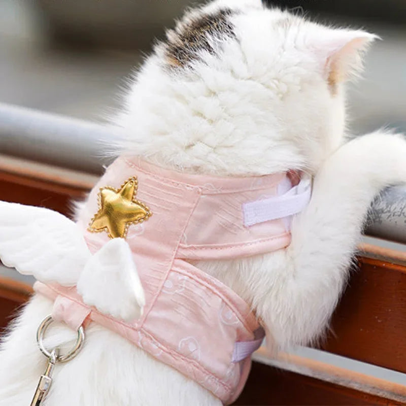 Catvera Angel Wing Pet Harness Set - Image 1|||PROMPT|||Original clean product image