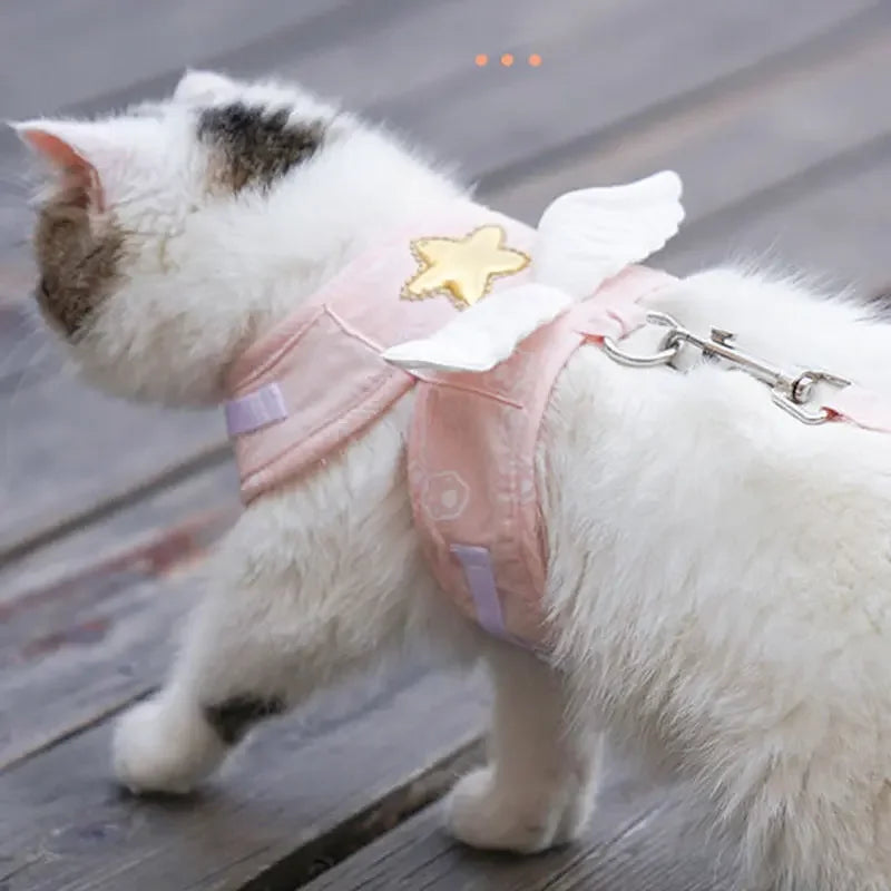 Catvera Angel Wing Pet Harness Set - Image 3|||PROMPT|||Original clean product image