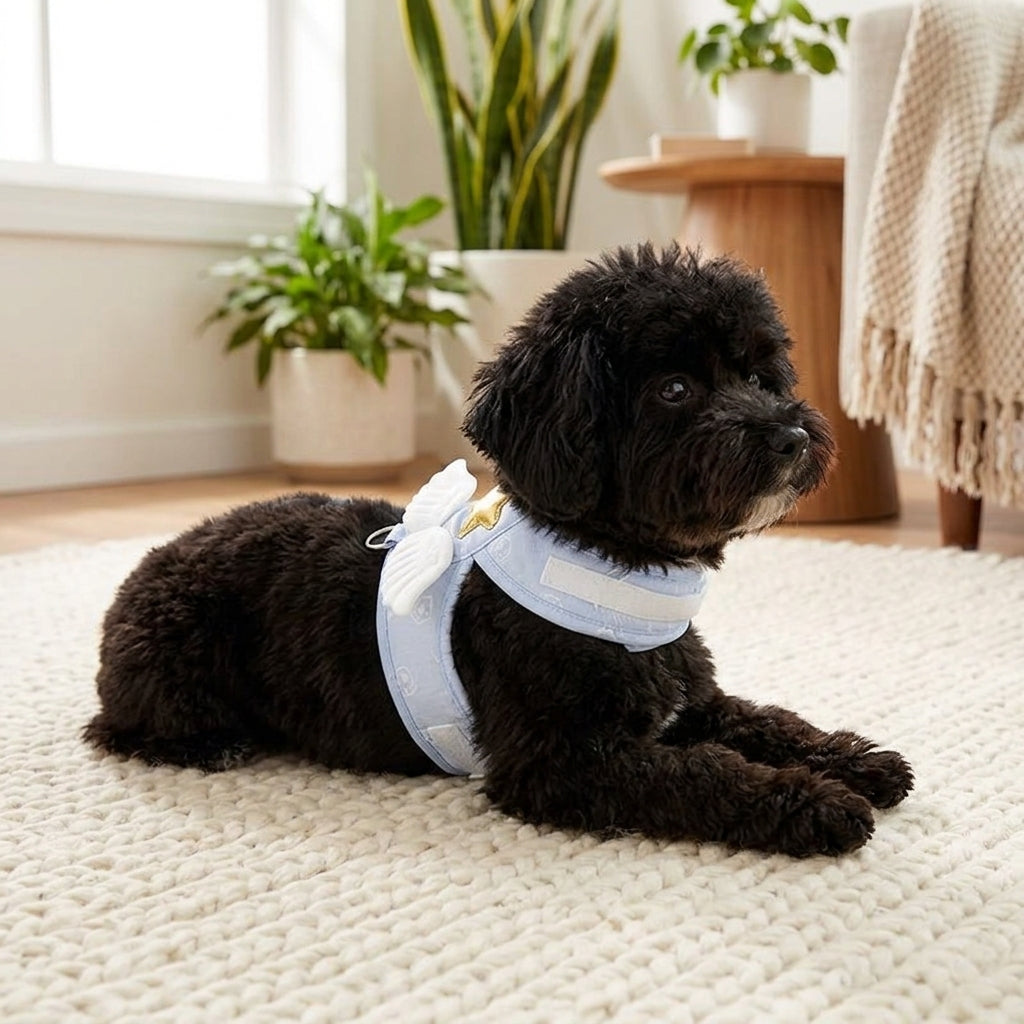 Catvera Angel Wing Pet Harness Set - Premium Material Construction