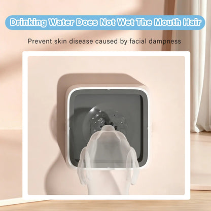 Catvera Anti-Splash Floating Water Bowl - Image 3|||PROMPT|||Original clean product image