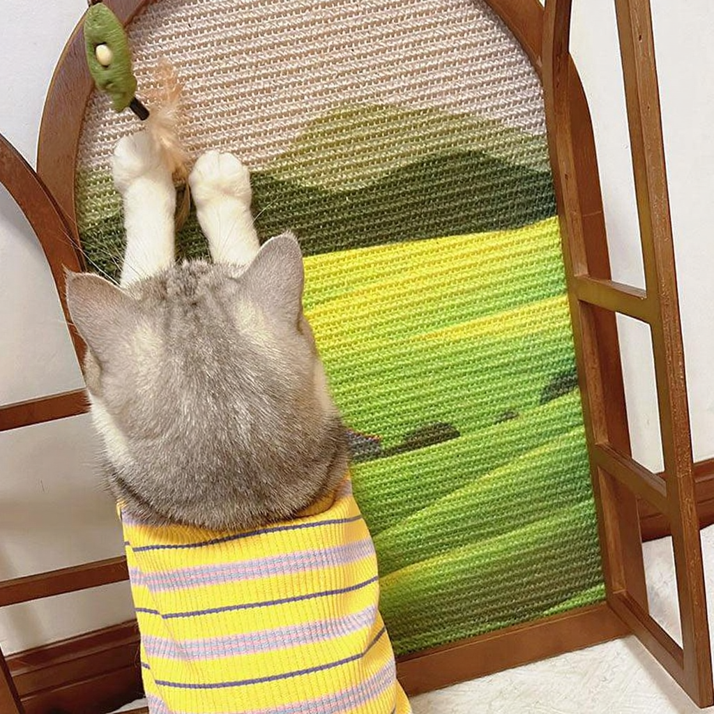 Catvera Artistic Window Cat Scratcher - Image 10|||PROMPT|||Cleaned image. Original analysis: found 1 brand logo on the cat's clothing item