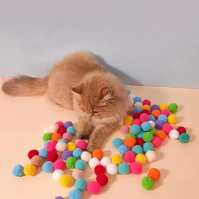 Catvera Ball Launcher Interactive Cat Toy - Image 4|||PROMPT|||Original clean product image