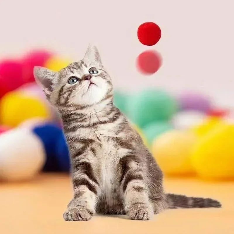 Catvera Ball Launcher Interactive Cat Toy - Image 6|||PROMPT|||Original clean product image