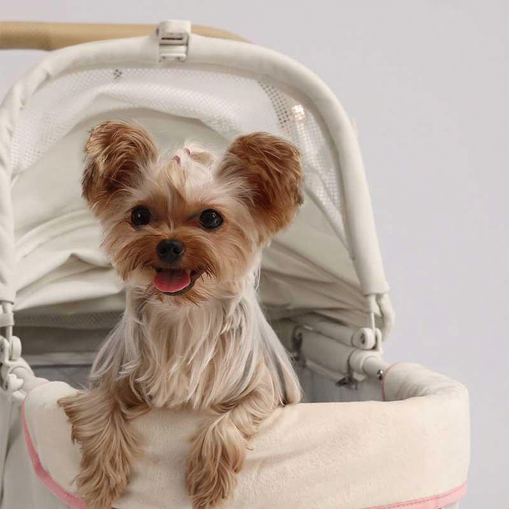 Catvera Bow Pet Stroller Carrier - Image 7|||PROMPT|||Cleaned image. Original analysis: Found 1 brand name visible on the stroller handle and 1 brand name on the canopy fabric