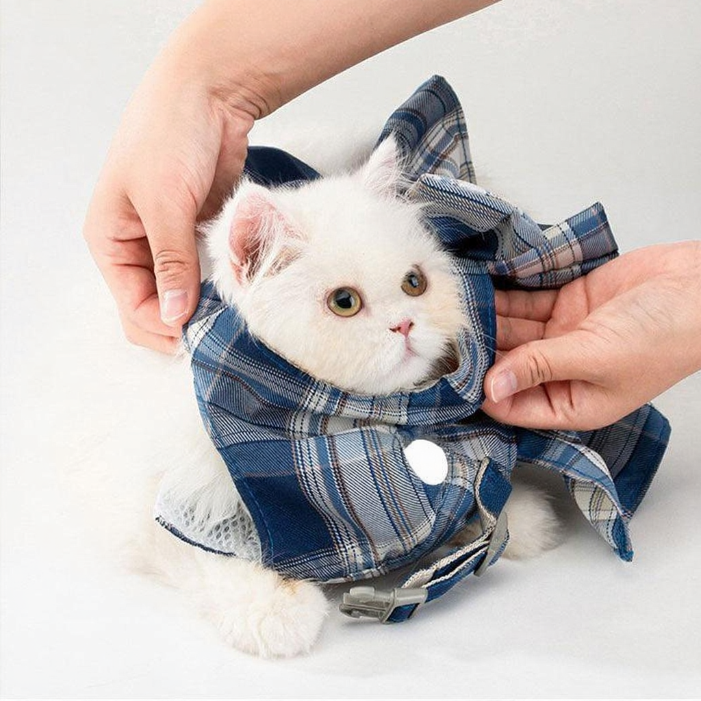 Catvera Bow Tie Cat Harness Set - Image 10|||PROMPT|||Cleaned image. Original analysis: Found 1 brand name/logo on the product - a small branded tag/label visible on the harness/collar area of the cat's outfit