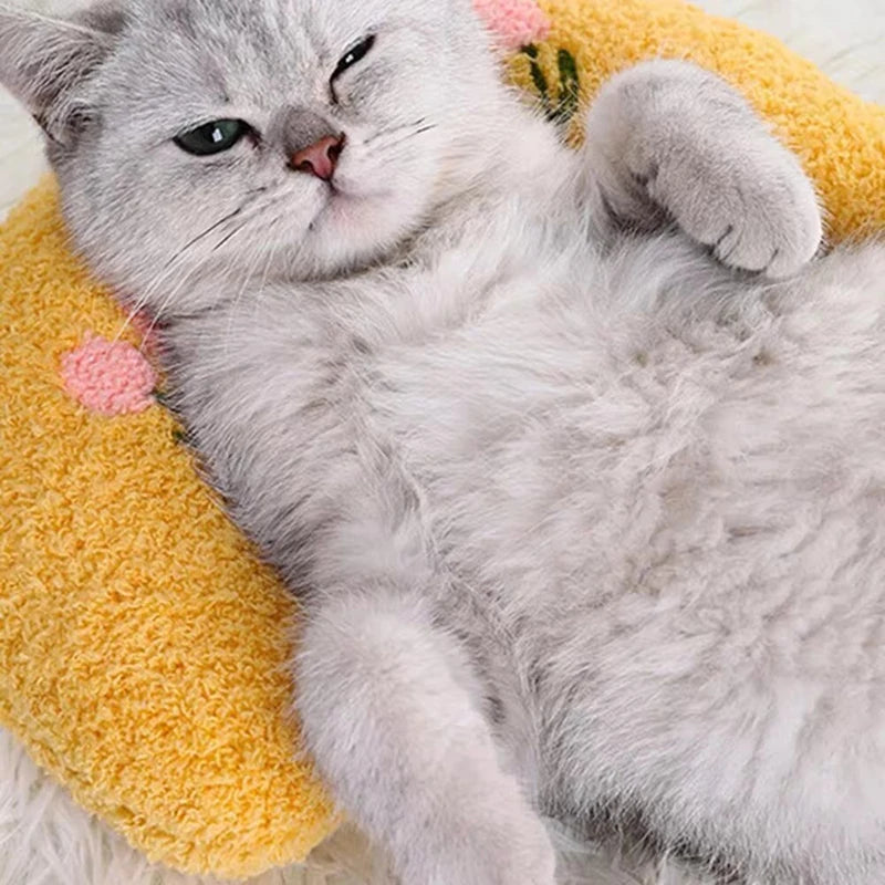 Catvera Crescent Cat Comfort Pillow - Image 2|||PROMPT|||Original clean product image