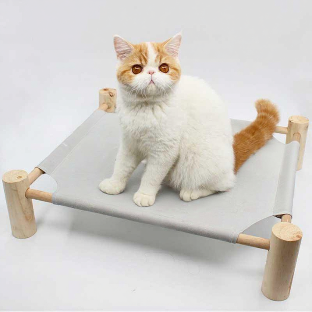 Catvera Elevated Summer Cat Hammock - Image 14|||PROMPT|||Cleaned image. Original analysis: found text 'CATTY' printed on the fabric/canvas material of the cat bed in multiple locations