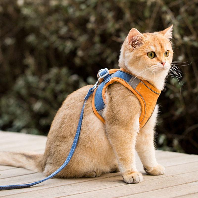Catvera Escape Proof Cat Harness - Image 6|||PROMPT|||Original clean product image