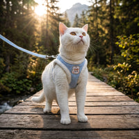 Catvera Escape Proof Cat Harness Vest - Image 1|||PROMPT|||Original clean product image
