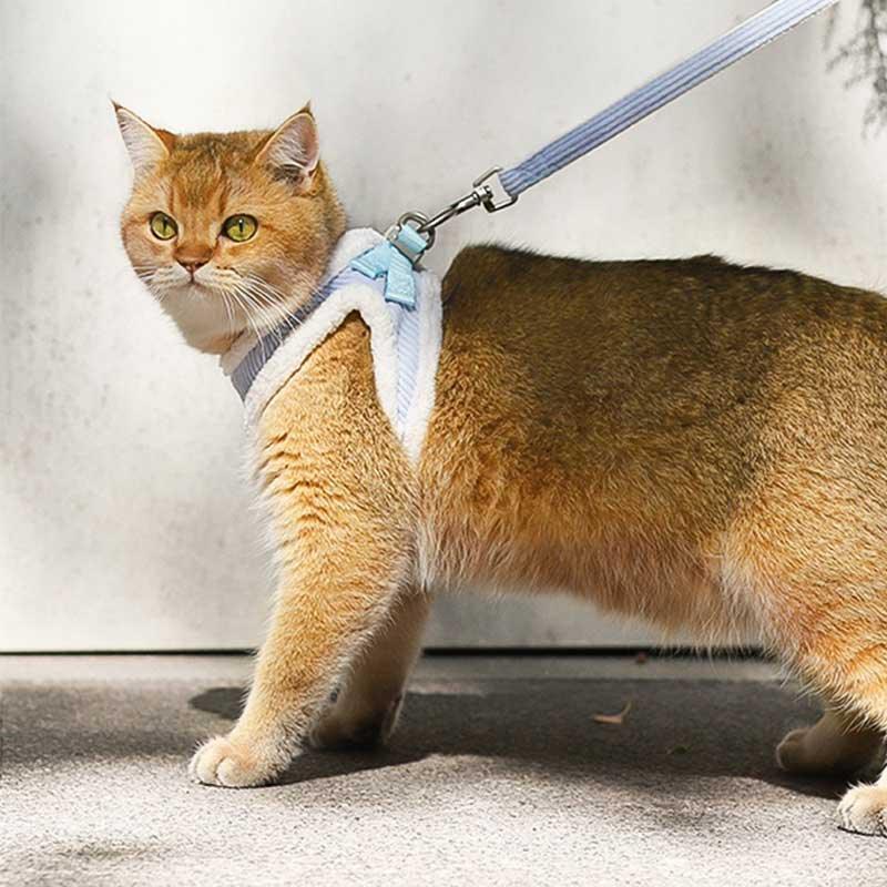 Catvera Escape Proof Cat Harness Vest - Image 4|||PROMPT|||Original clean product image