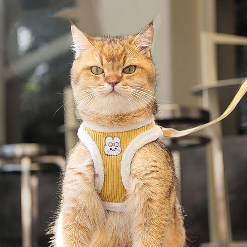Catvera Escape Proof Cat Harness Vest - Image 6|||PROMPT|||Original clean product image