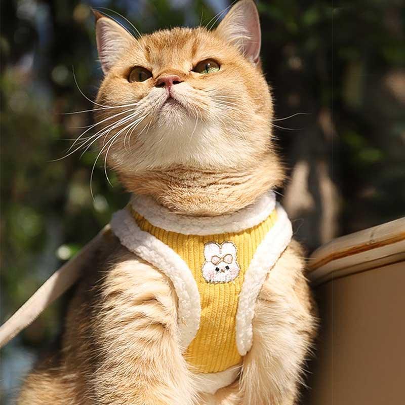 Catvera Escape Proof Cat Harness Vest - Image 7|||PROMPT|||Original clean product image