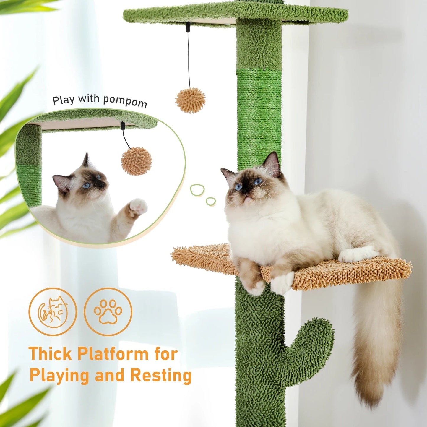 Catvera Floor Ceiling Cactus Cat Tree - Image 5|||PROMPT|||Original clean product image