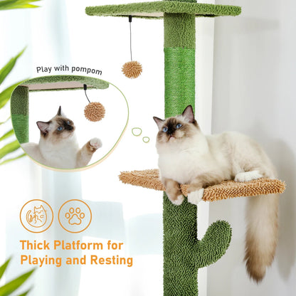 Catvera Floor Ceiling Cactus Cat Tree - Image 5|||PROMPT|||Original clean product image
