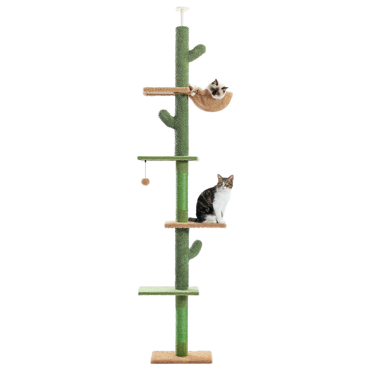 Catvera Floor Ceiling Cactus Cat Tree - Image 7|||PROMPT|||Original clean product image