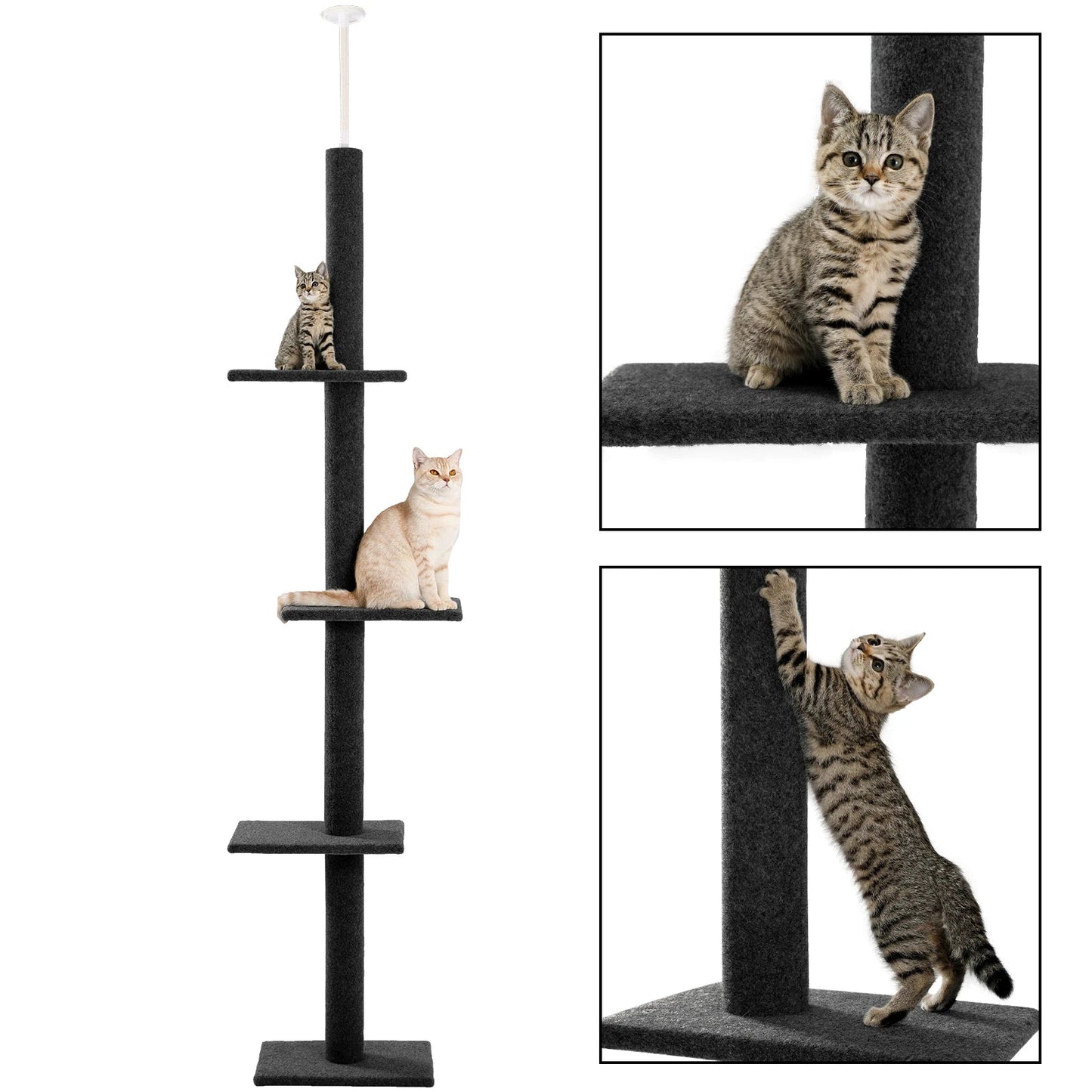 Catvera Floor to Ceiling Cat Tree - Image 7|||PROMPT|||Original clean product image