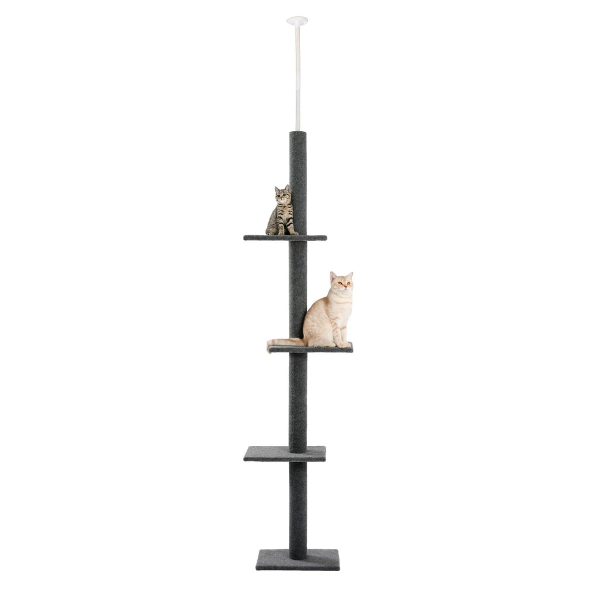 Catvera Floor to Ceiling Cat Tree - Image 9|||PROMPT|||Original clean product image