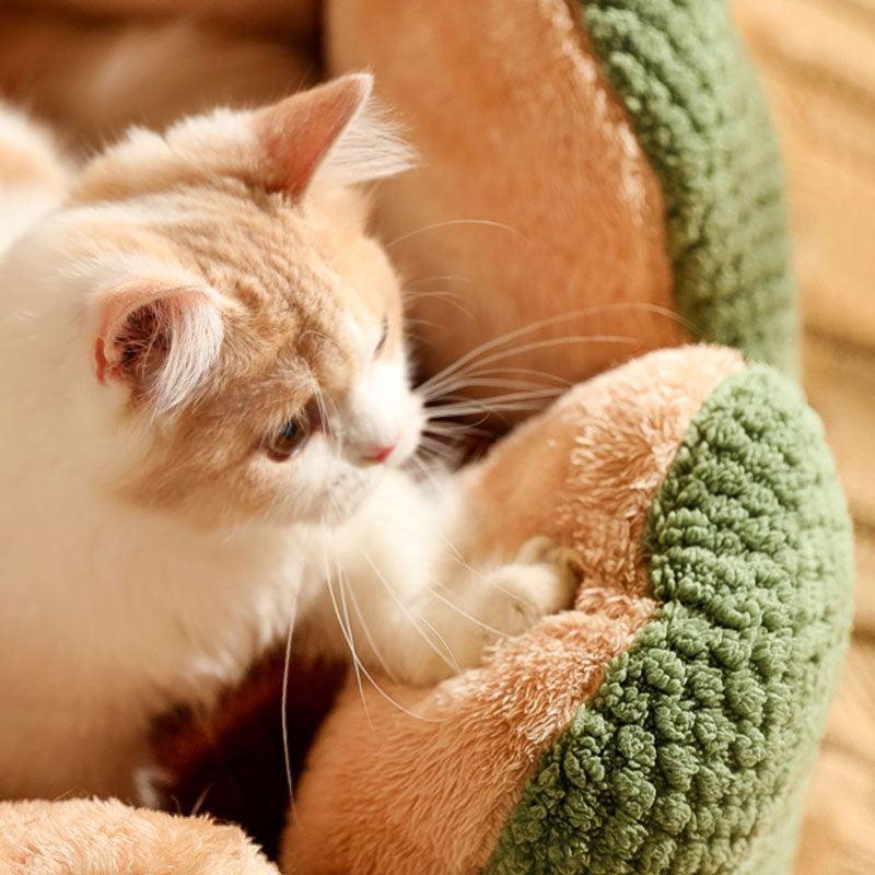 Catvera Flower Nest Cat Bed - Image 12|||PROMPT|||Original clean product image