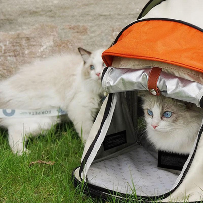 Catvera Foldable Cat Carrier Tent - Image 8|||PROMPT|||Cleaned image. Original analysis: Found multiple brand names and logos on the pet carrier: 'PULL' text on the orange canopy, 'Cielito' brand name and cat logo on the carrier window/mesh panel, and what appears to be a 'Belli' or similar branding on the carrier fabric