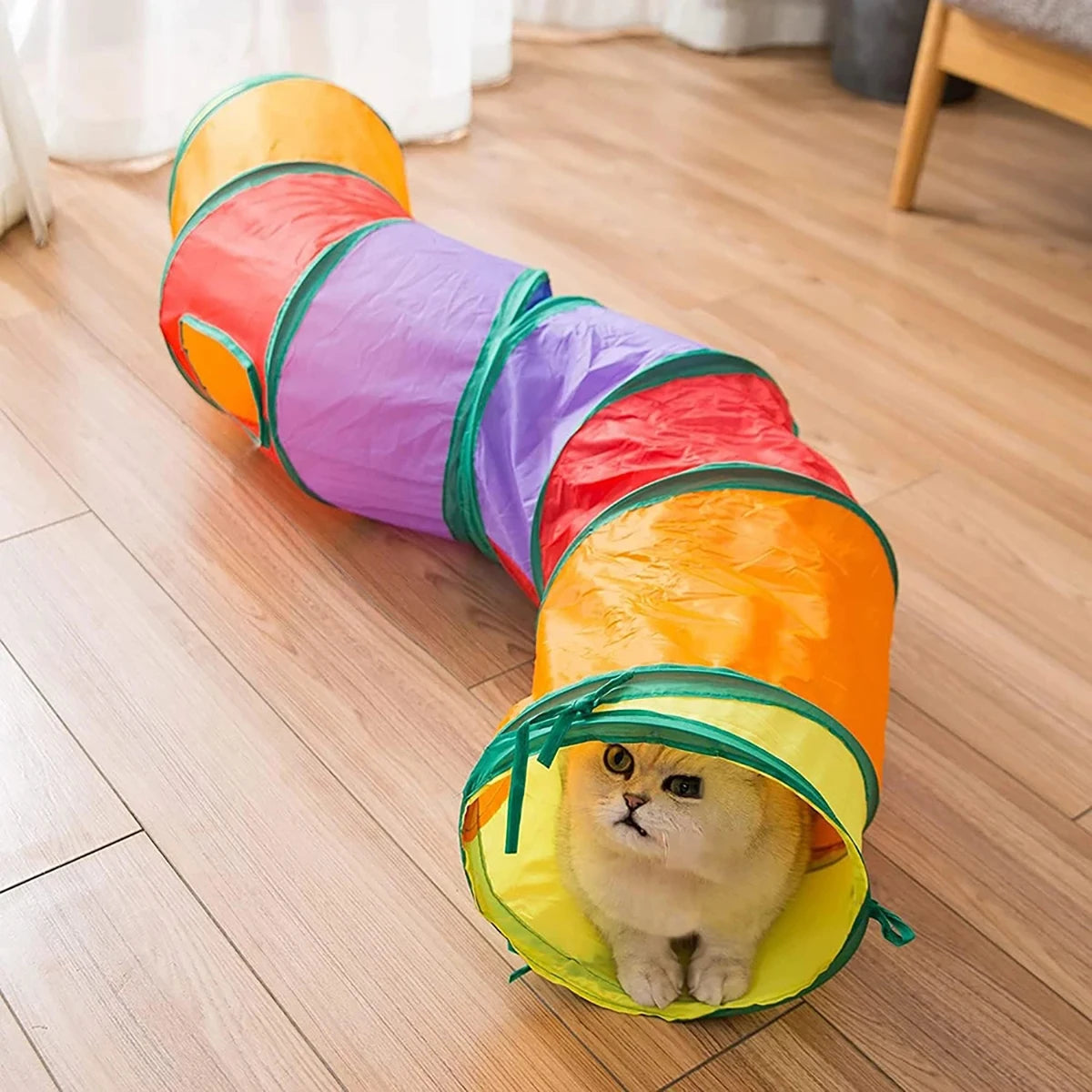 Catvera Foldable Rainbow Play Tunnel - Image 3|||PROMPT|||Original clean product image