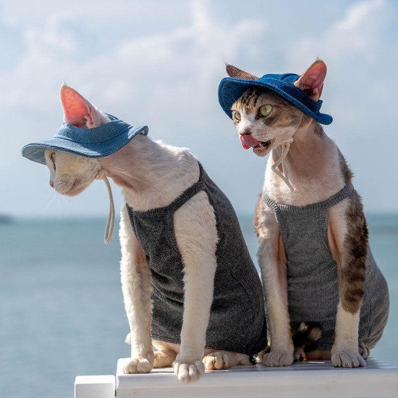 Catvera Hairless Cat Sun Hat - Image 21|||PROMPT|||Original clean product image