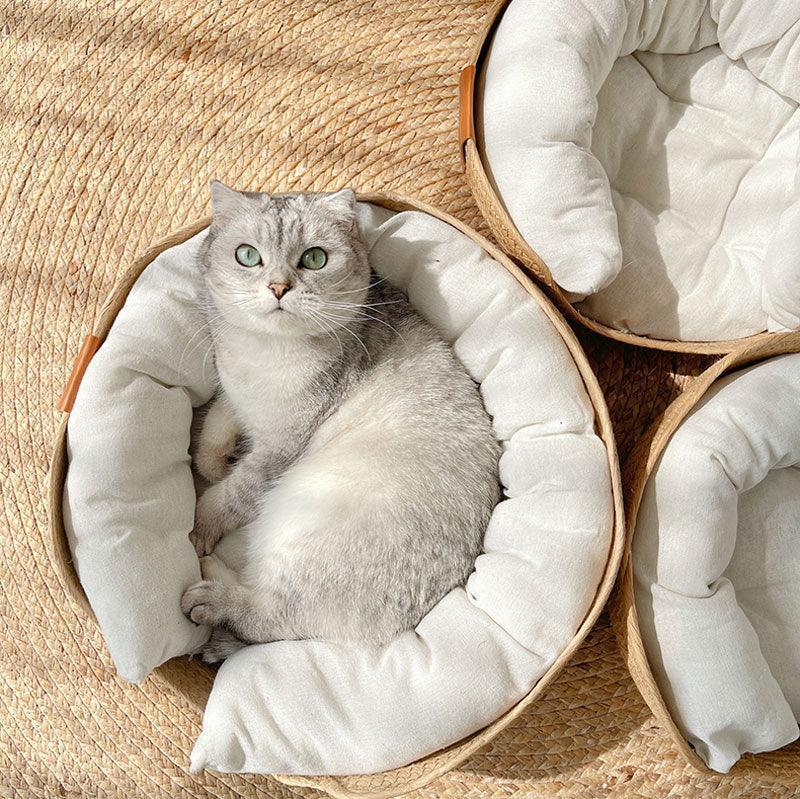 Catvera Handwoven Cooling Cat Bed - Image 5|||PROMPT|||Original clean product image