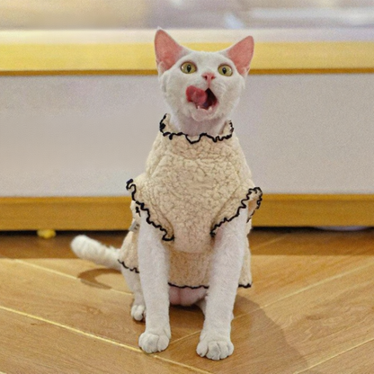 Catvera Lambswool Hairless Cat Sweater - Image 5|||PROMPT|||Cleaned image. Original analysis: found 1 watermark text overlay and 1 partial brand name visible in background