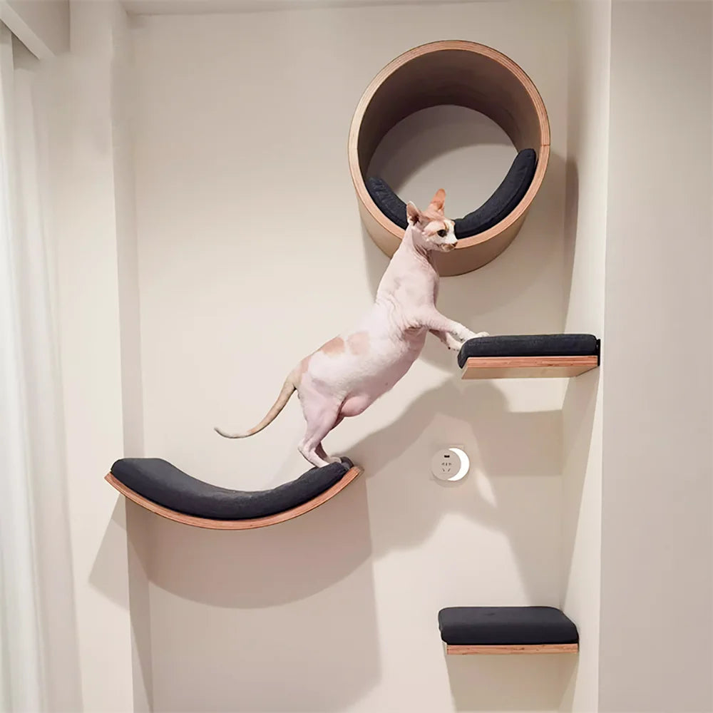 Catvera Modular Wall Cat Climbing System - Image 2|||PROMPT|||Original clean product image