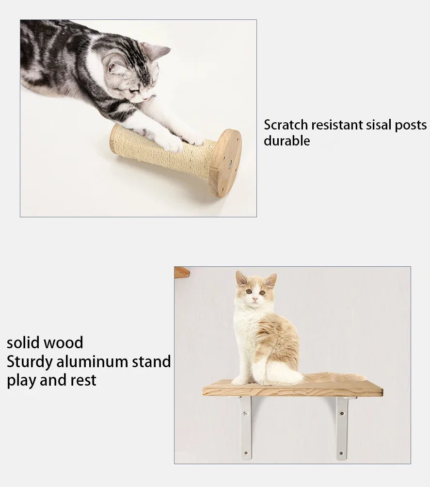 Catvera Modular Wall Cat Climbing System - Image 4|||PROMPT|||Original clean product image