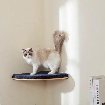 Catvera Modular Wall Cat Climbing System - Image 4|||PROMPT|||Cleaned image. Original analysis: Found book spines with text 'REDISIAR' and partial text 'R.E.D' visible on the right side of the image