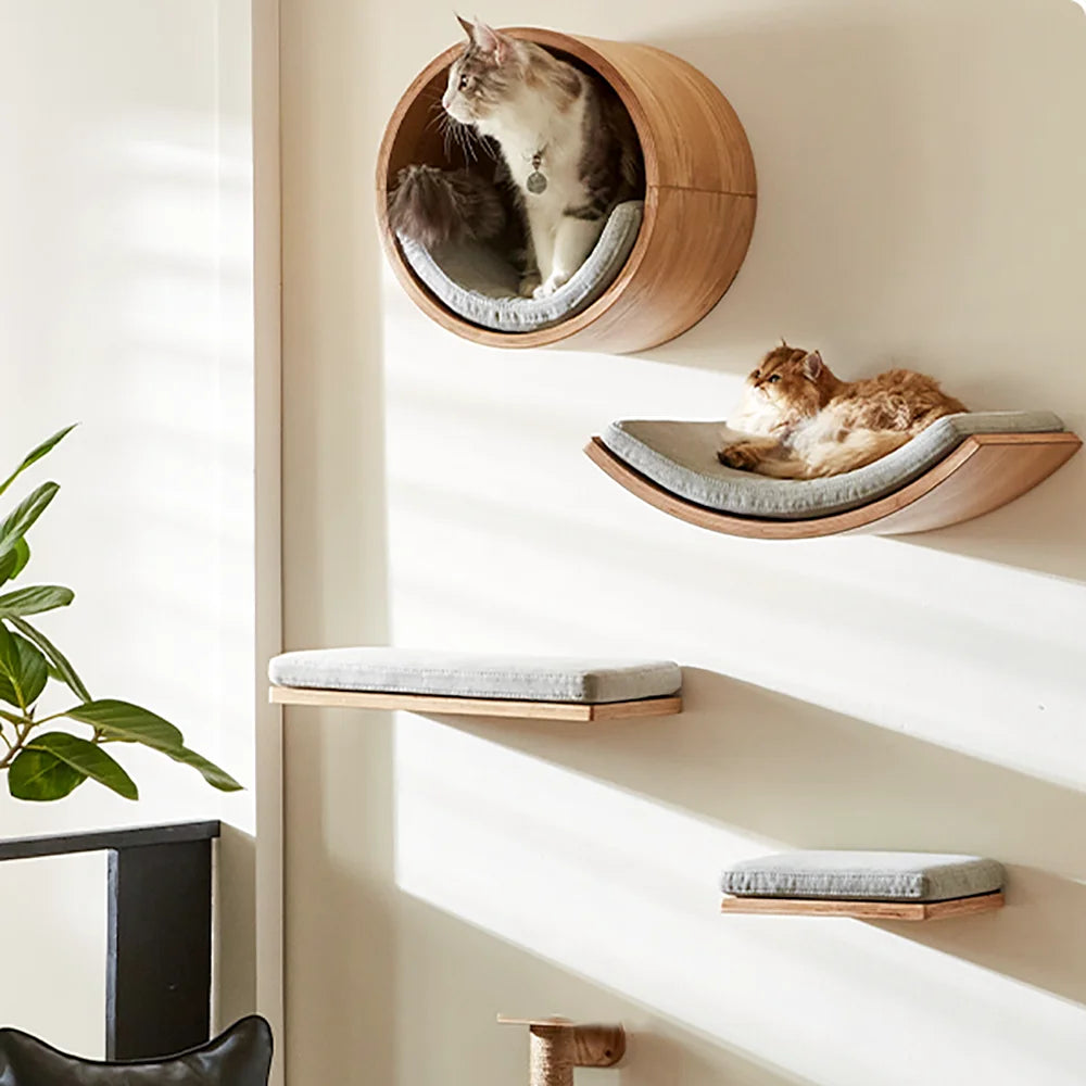 Catvera Modular Wall Cat Climbing System - Image 6|||PROMPT|||Original clean product image