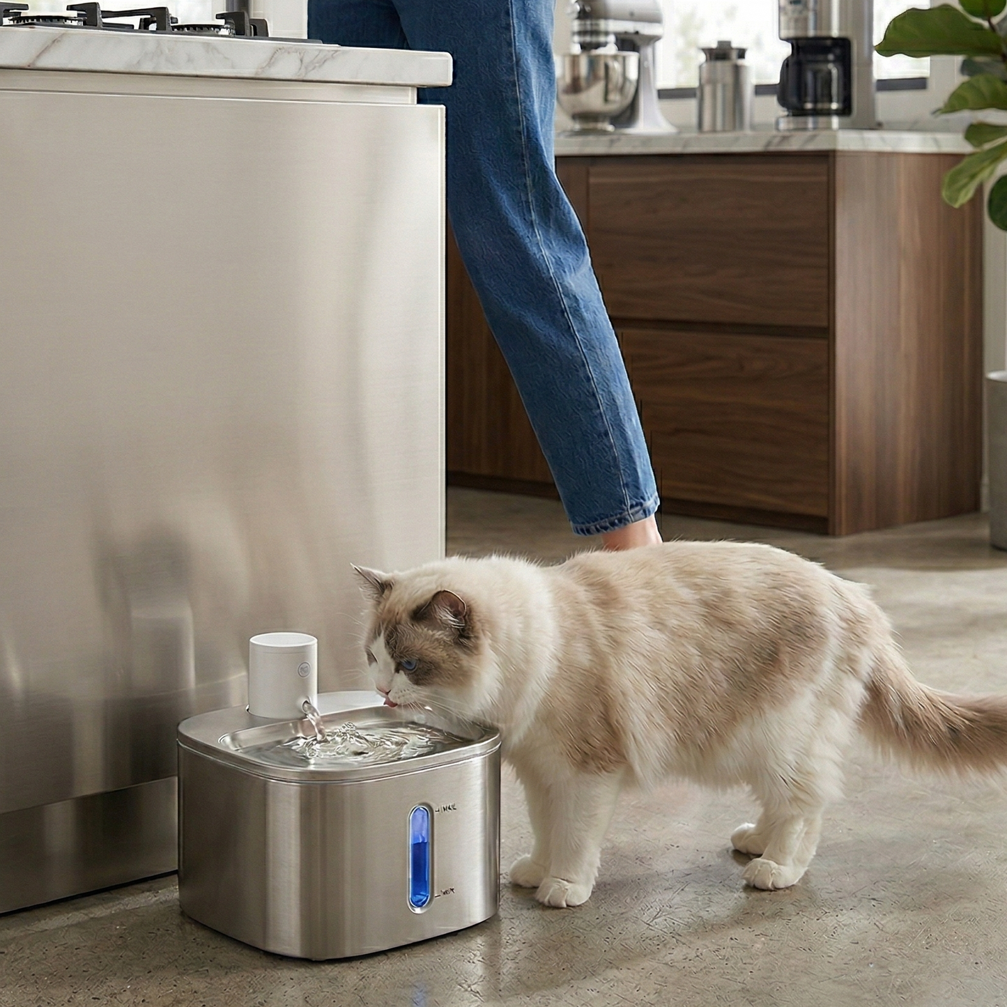 Catvera Motion Sensor Water Fountain - Image 3 (Original)