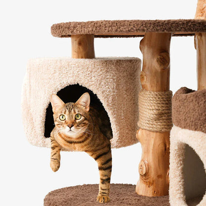 Catvera Multi-Level Wooden Cat Tree - Image 13|||PROMPT|||Original clean product image