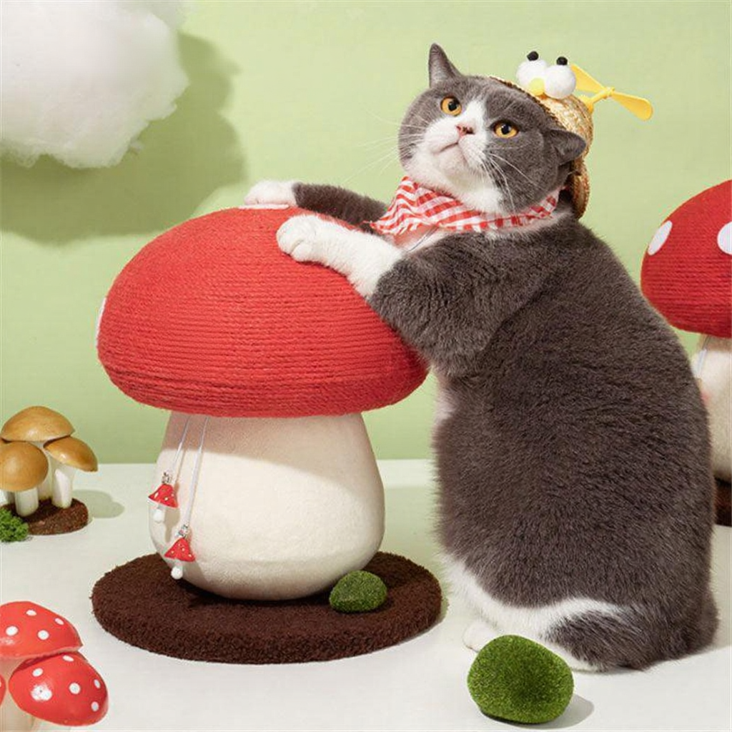 Catvera Mushroom Cat Scratching Tree - Image 10|||PROMPT|||Cleaned image. Original analysis: found 1 text watermark 'MEWCATS' in the top left corner