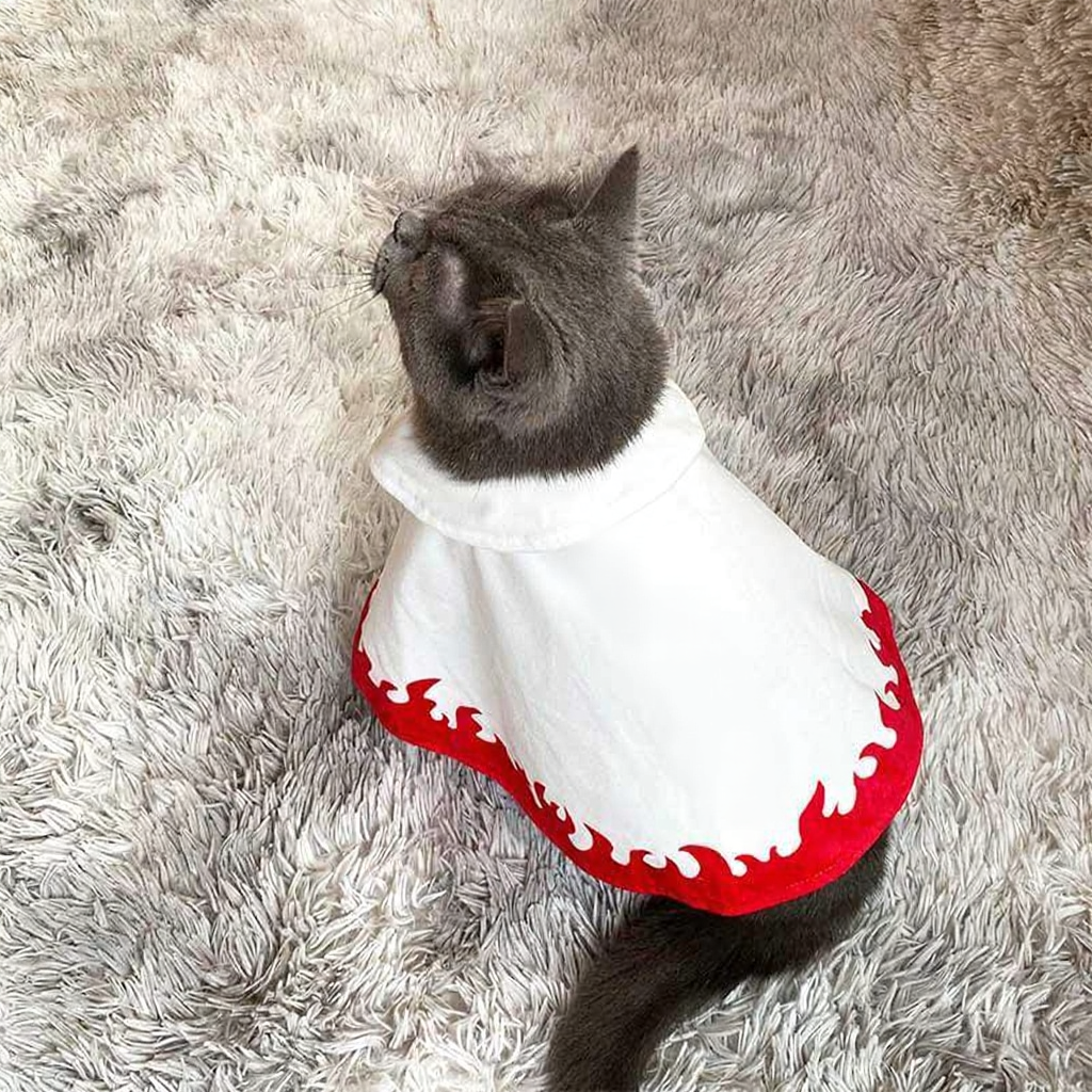 Catvera Naruto Anime Cat Cosplay Cape - Image 8|||PROMPT|||Cleaned image. Original analysis: Found Japanese characters/text printed on the pet garment (white and red fabric piece worn by the cat). The garment displays red kanji characters on both the white center panel and red trim sections.