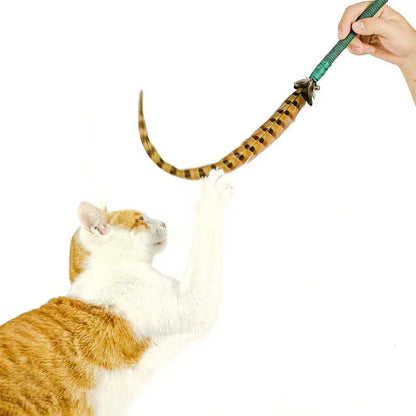 Catvera Natural Pheasant Feather Wand - Image 5|||PROMPT|||Original clean product image