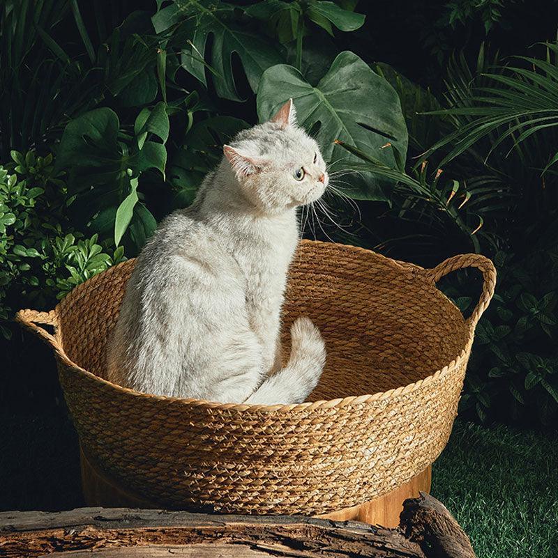 Catvera Natural Wicker Cat Bed - Image 2|||PROMPT|||Original clean product image