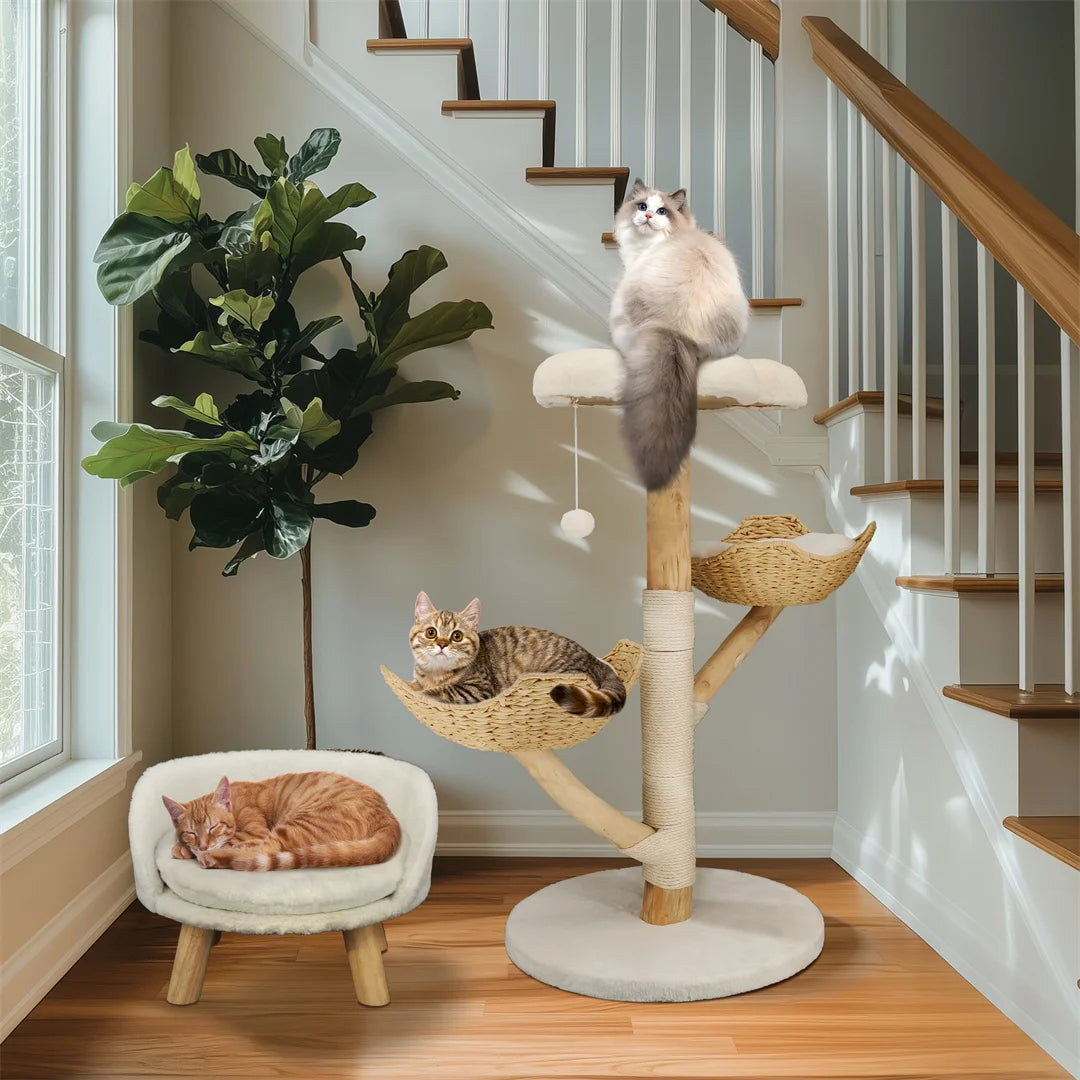 Catvera Natural Wood Cat Climbing Tree - Image 3|||PROMPT|||Original clean product image