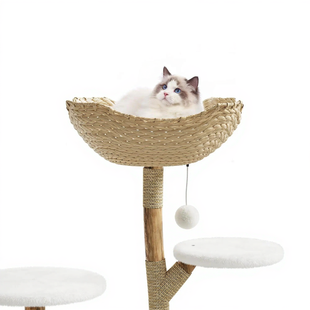 Catvera Natural Wood Multi-Level Cat Tree - Image 6|||PROMPT|||Cleaned image. Original analysis: found 1 text overlay with product name at top of image
