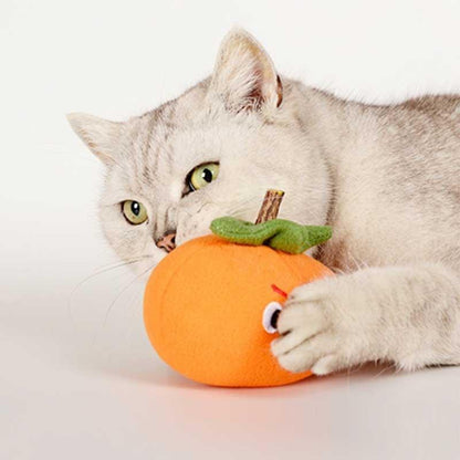Catvera Orange Persimmon Dental Chew Toys - Image 7|||PROMPT|||Original clean product image
