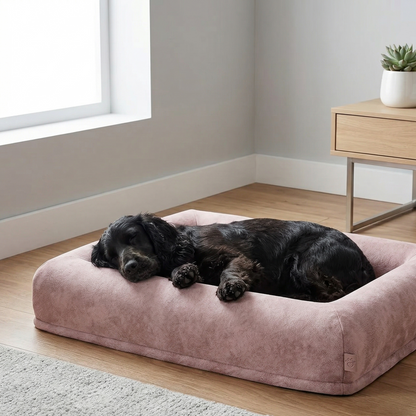 Catvera Orthopaedic Memory Foam Dog Bed - Image 4 (Original)